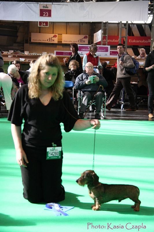 Crufts2011_2 807.jpg